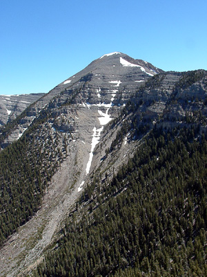 Mount Charleston in southern Nevada